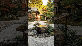 The Ultimate Zen Garden Loop for Anxiety Relief