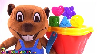 Shape Sorting Bucket All The Shapes Short Busy Beavers Remixed & Remade