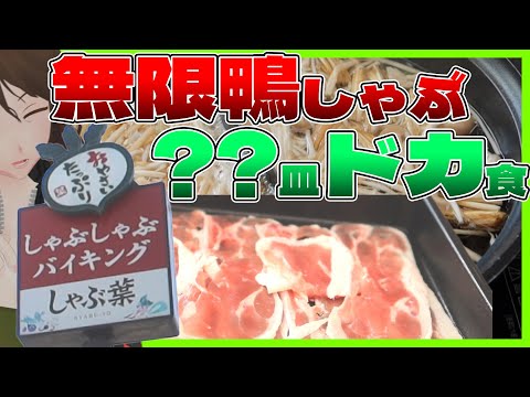 【しゃぶ葉】鴨しゃぶ&野菜、時間無制限食べ放題!「秋のきのこと鴨しゃぶフェア」で最強コスパ爆食爆飲!【712】