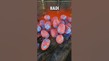 Yeşil sinomuzu aldık!  #arksurvivalevolved #arktürkçe #ark