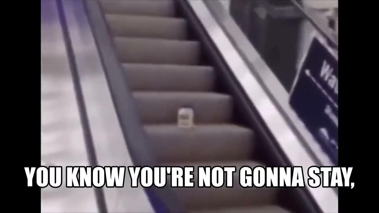 Mayonnaise on an Escalator official Lyric Video YouTube