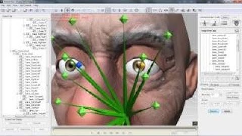 iClone 3DXchange5.4 Tutorial Importing Characters with Facial Bones to iClone