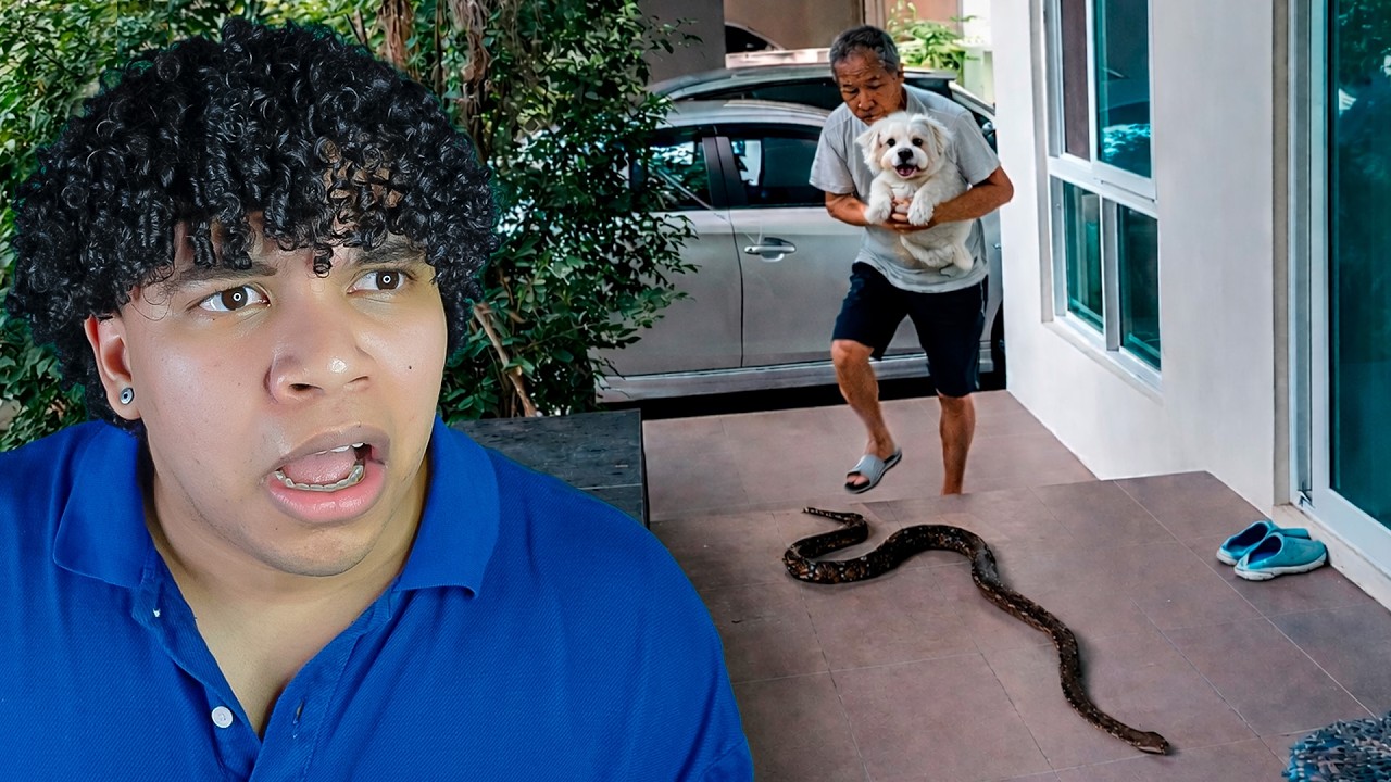 Pessoas que tiveram encontros horríveis com Animais Selvagens