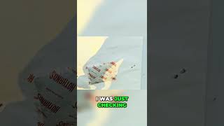 Prep For Your Hunting Adventures With Dynamic Range X1 Plus