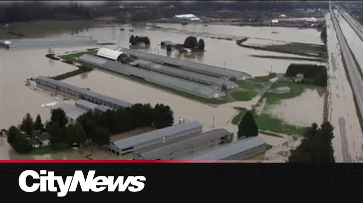 B.C. officials warn Fraser Valley residents to prepare for further flooding