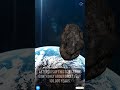 What If a 300m Asteroid Hit Earth? ☄️🌍 #shorts