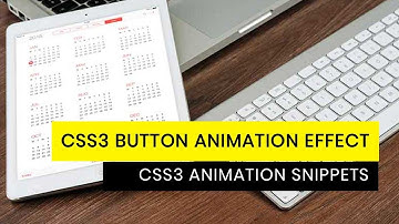 CSS3 Button Text Animation | CSS3 Animation Snippets | Tutorial For Beginners