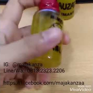 Minyak Bulus Lauzatin