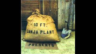 Video thumbnail of "10 Ft. Ganja Plant - Chalwa"