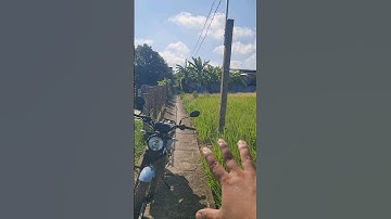 Bán đất lúa ấp5 xã phước tuy cách đường nhựa 50m diện tích 533m được chuyển thổ cư giá 620 triệu