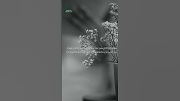 سورة التوبة • مدنية • بصوت أبو بكر الشاطري | عدد الآيات: 129 #قرآن #Quran #تلاوة #قرآن_كريم #التوبة