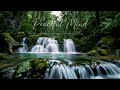 Relaxing music | Calm music | Relaxing guita | Deep sleep | Soothing music | Worship | Water sounds