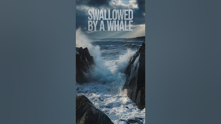 Swallowed by a Whale?! Kayaker's Terrifying Encounter Caught on Camera!