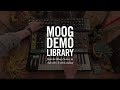 Grandmother | Using DFAM as Synced Mod Sequencer