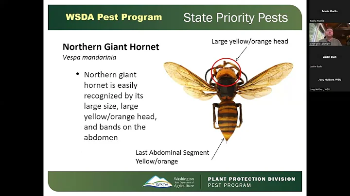 WSDA Pest Program - State Priority Pests