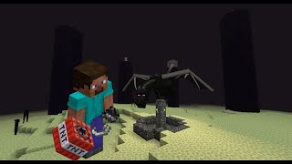 Speedrun de Steve Earrape