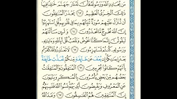 القرآن الكريم صفحة رقم 197 برواية الدوري عن الكسائي  القارئ مفتاح السلطني