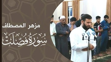 مزهر المصطاف ما تيسر من سورة فصلت
