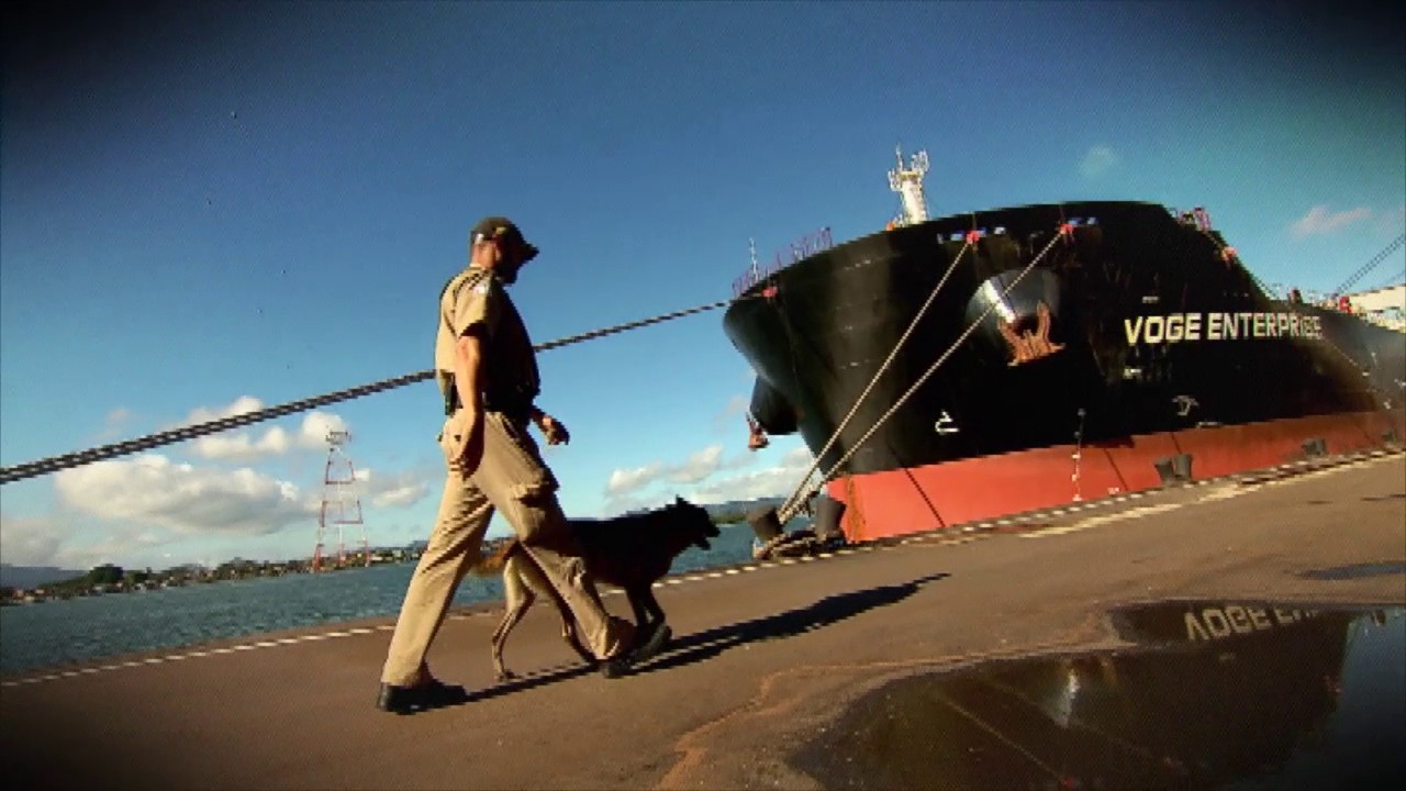 Câmera Record mostra como funciona o maior porto da América Latina