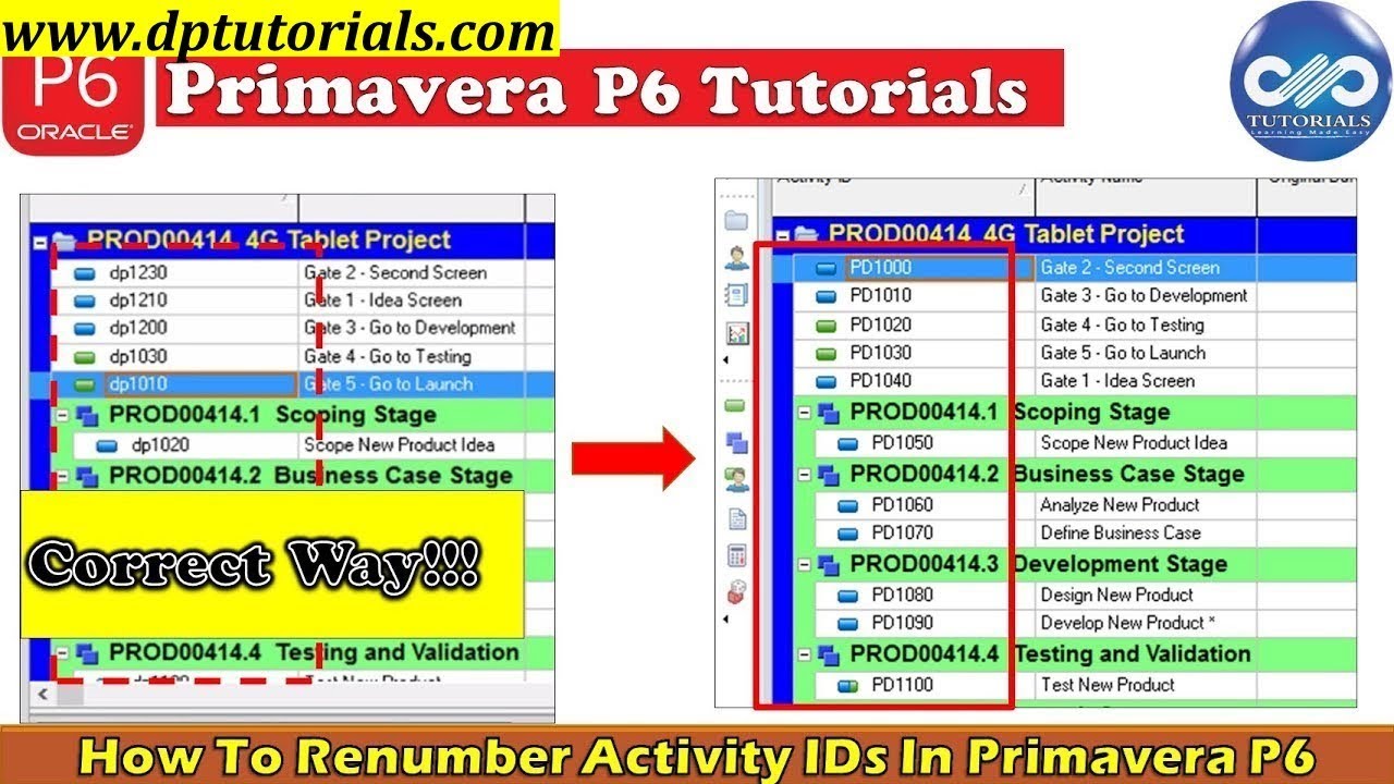 How To Move Activities In Primavera P6