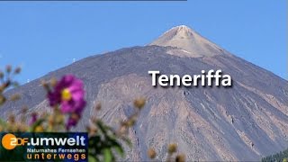 Teneriffa - zdf.umwelt unterwegs (2007)