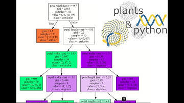 Introduction to machine learning (random forest)
