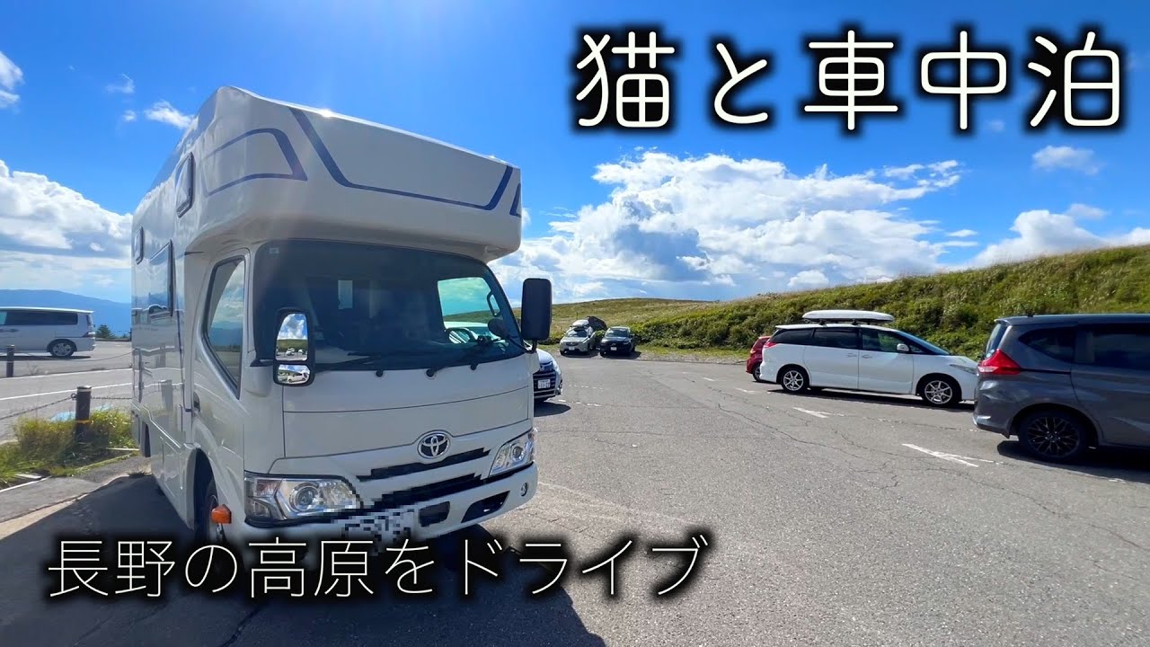 【猫と車中泊】岐阜・長野旅⑥最終話／諏訪湖を望む公園とビーナスライン