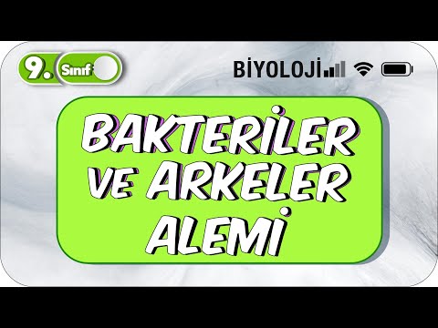 Video: Bakterilerin hücre yapısını ayrıntılı olarak tanımlayan bakteriler nelerdir?