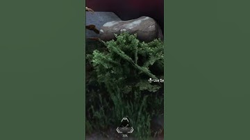 How to Activate 3rd Person in Apex Legends Season 17!