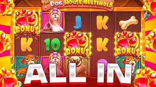 :    ALL IN   6000  THE DOG HOUSE MULTIHOLD!!!   4 !!!