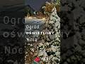 Magia światła zimą, Oświetlenie ogrodowe i świetliste kule ACER Ogrody Białystok Projekt ogrodu