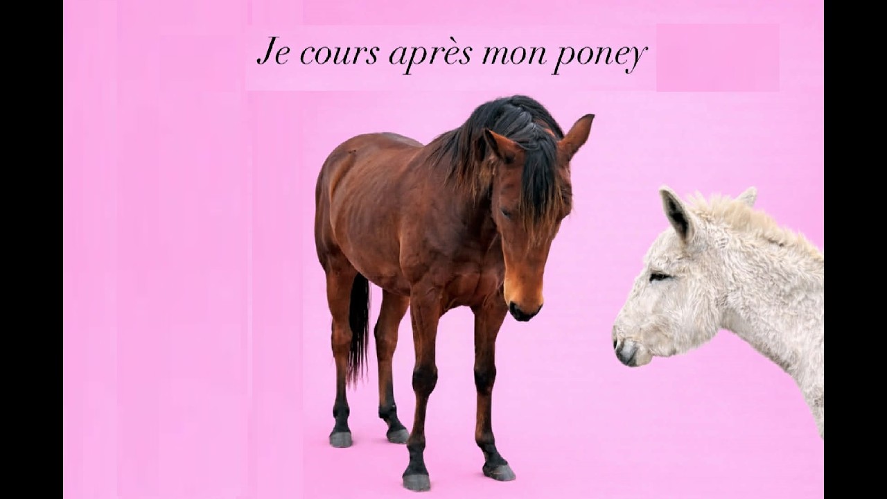 Mon poney s'échappe ~ dreamy riders ~