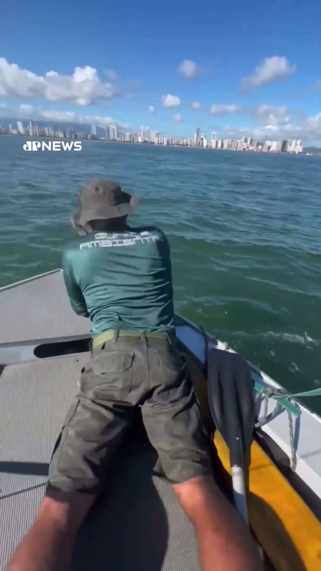 Preguiça é resgatada à deriva no mar no Guarujá (SP) e devolvida à natureza #shorts