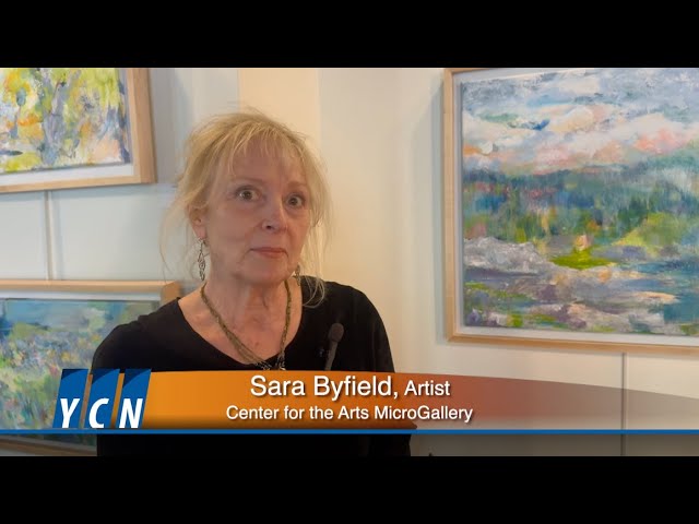 Sara Byfield, CFA Artist Showing at The New London Inn