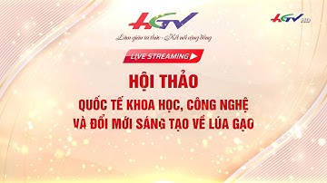 [🔴 Live] Hội thảo Quốc tế khoa học, công nghệ và đổi mới sáng tạo về lúa gạo | Truyền hình Hậu Giang