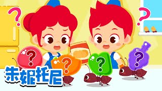 cai cai zhe shi shen me wei dao tou ling shi de xiao tou