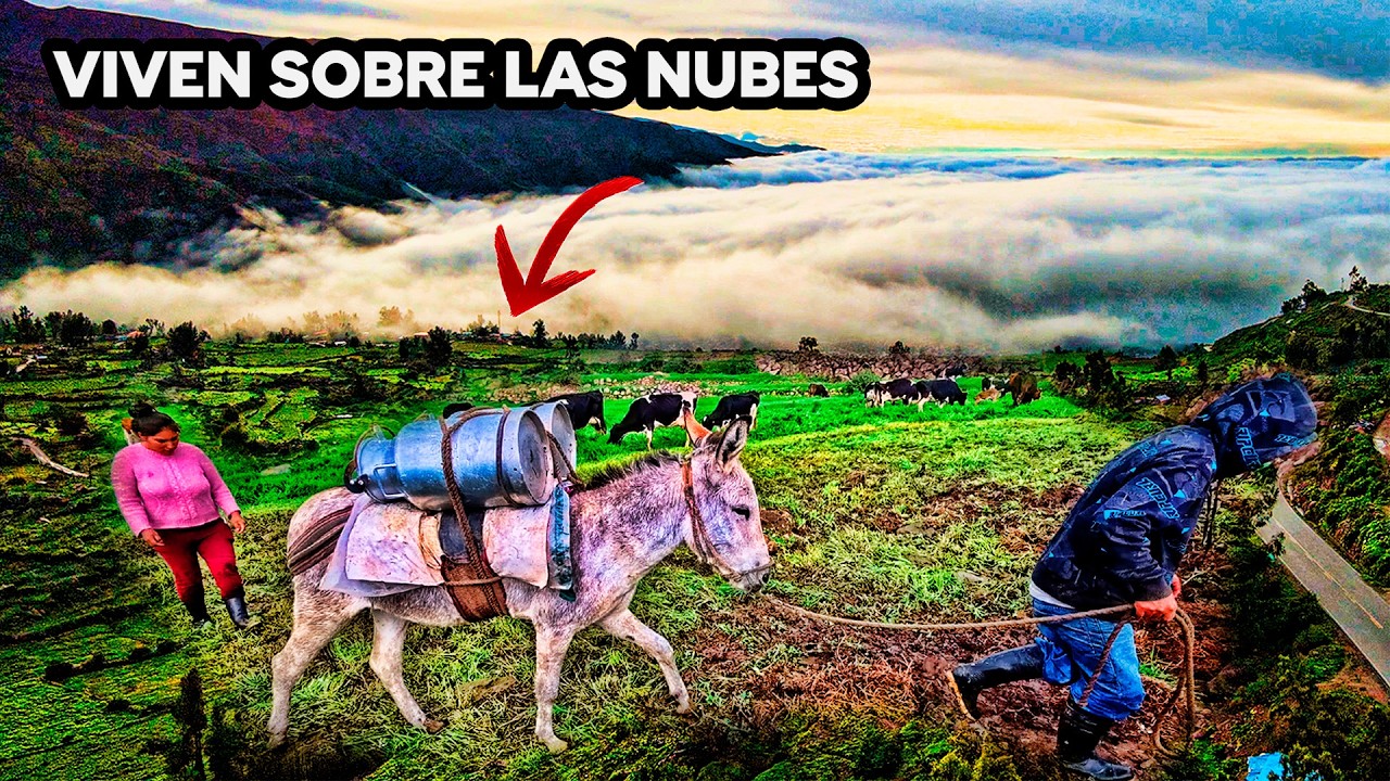 Esta pareja VIVE SÓLO dedicándose a la ganadería en un inhóspito rincón de los Andes Peruanos
