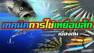 เหยื่อปลั๊กกับ | เทคนิคการใช้งาน | เบื้องต้น