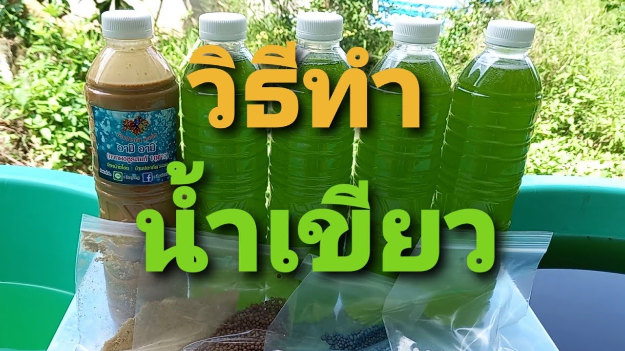 วิธีทำ น้ำเขียว