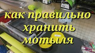 Как правильно хранить мотыля!