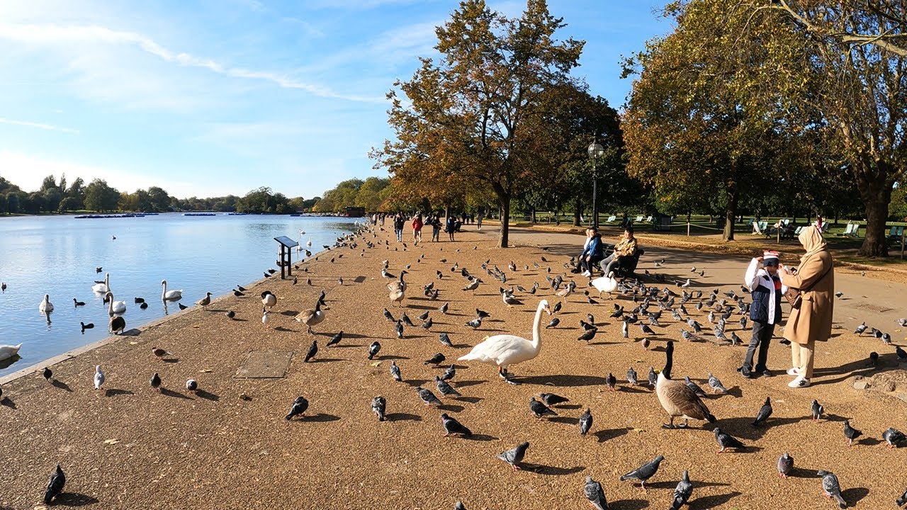London Hyde Park Walking Tour Scenic & Relaxing (Oct, 2023) [4K