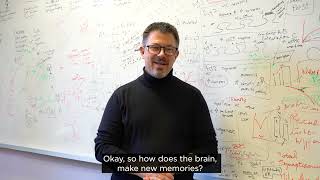New study investigating the surprising role of fat in memory formation. @qldbraininstitute