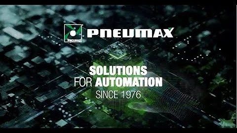 Pneumax Spa - Infographic 2022