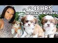 Meet Our New Puppy | Bringing Home Our New 8 Week Old Puppy | First 48hrs With Her | Puppy Shopping