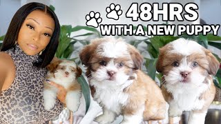 Meet Our New Puppy | Bringing Home Our New 8 Week Old Puppy | First 48hrs With Her | Puppy Shopping