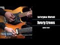 La'cryma Christi - Ivory trees guitar cover