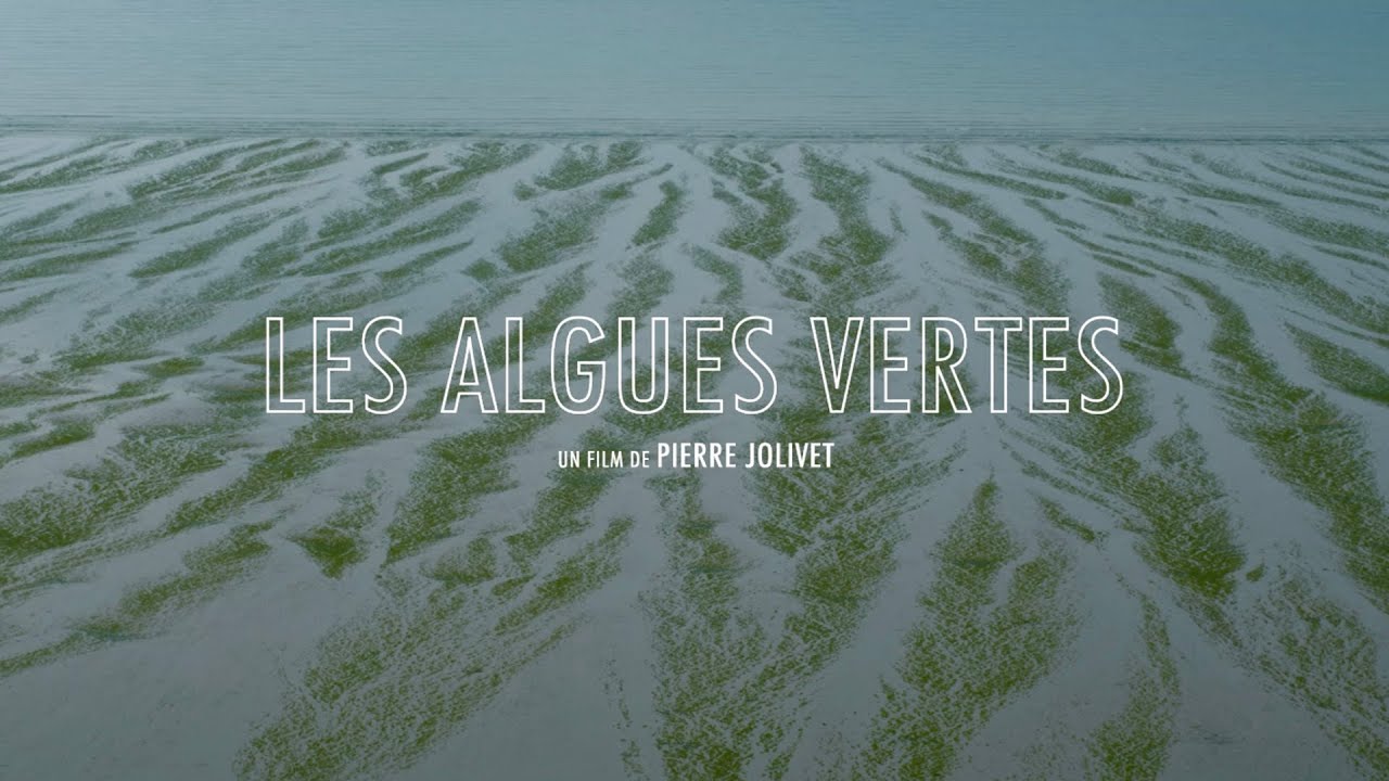 Les Algues vertes - film 2023 - AlloCiné