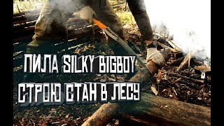 Пила Silky BIGBOY. Перепилил все вокруг. Строю место под шашлыки в лесу. KukuruZo