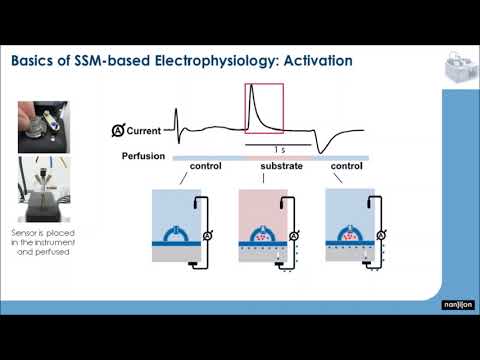 Video: Doi Inhibitori Ai Membranei Plasmatice A Drojdiei ATPază 1 (Sc Pma1p): Spre Dezvoltarea De Noi Terapii Antifungice