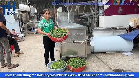 Máy rửa rau công nghiệp sục khí ozone siêu sạch xuất khẩu. Dây chuyền máy rửa rau đa năng